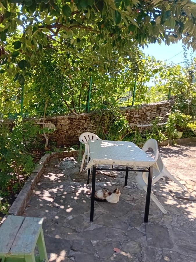 Stone Pazar Guest House Gjirokastra Zewnętrze zdjęcie