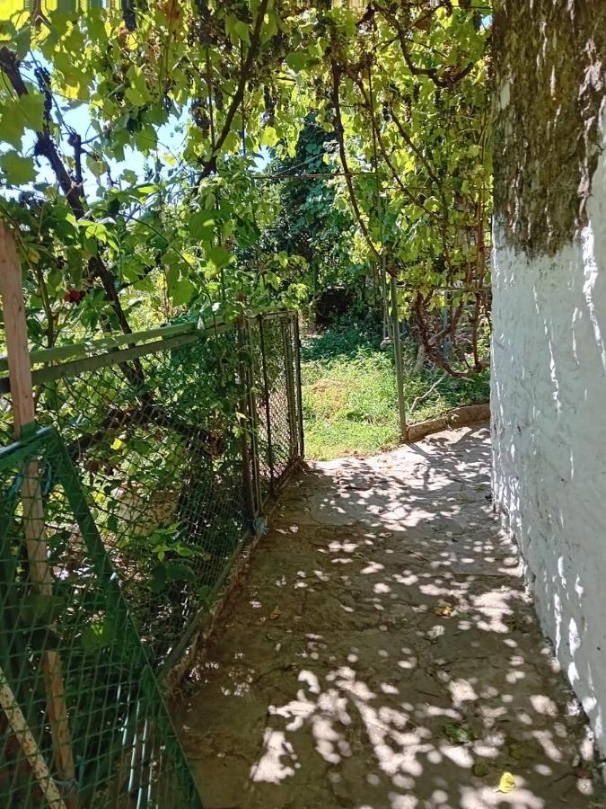Stone Pazar Guest House Gjirokastra Zewnętrze zdjęcie